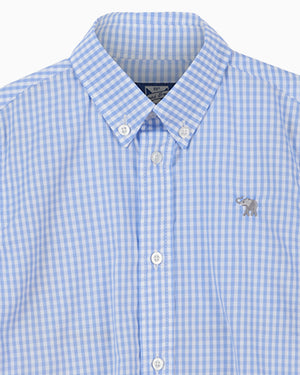 Chelsea Clothing Company Shirt Thomas Shirt in Blue Gingham