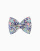 Lily Rose Clip Bow Hair Clip in Neon Wiltshire