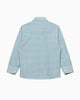 Chelsea Clothing Company Shirt Thomas Shirt in Sage Check