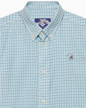 Chelsea Clothing Company Shirt Thomas Shirt in Sage Check