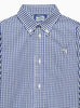 Chelsea Clothing Company Shirt Thomas Shirt in Navy Gingham