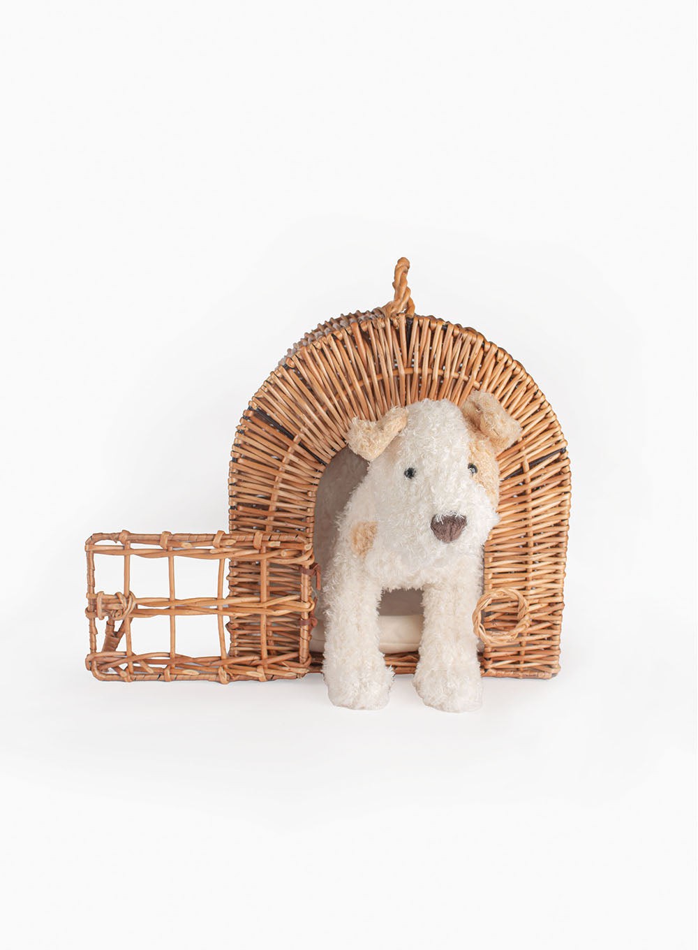 Toy dog best sale and carrier