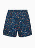 Hampton Swim Swimshorts Mens Daddy & Me Swimshorts in Aquarium