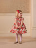 Lily Rose Dress Baby Carline Rose Smocked Party Dress