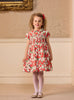 Lily Rose Dress Carline Rose Smocked Party Dress