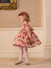 Lily Rose Dress Carline Rose Smocked Party Dress