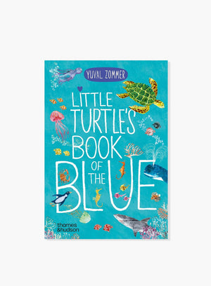 Yuval Zommer Book Little Turtle's Book of the Blue
