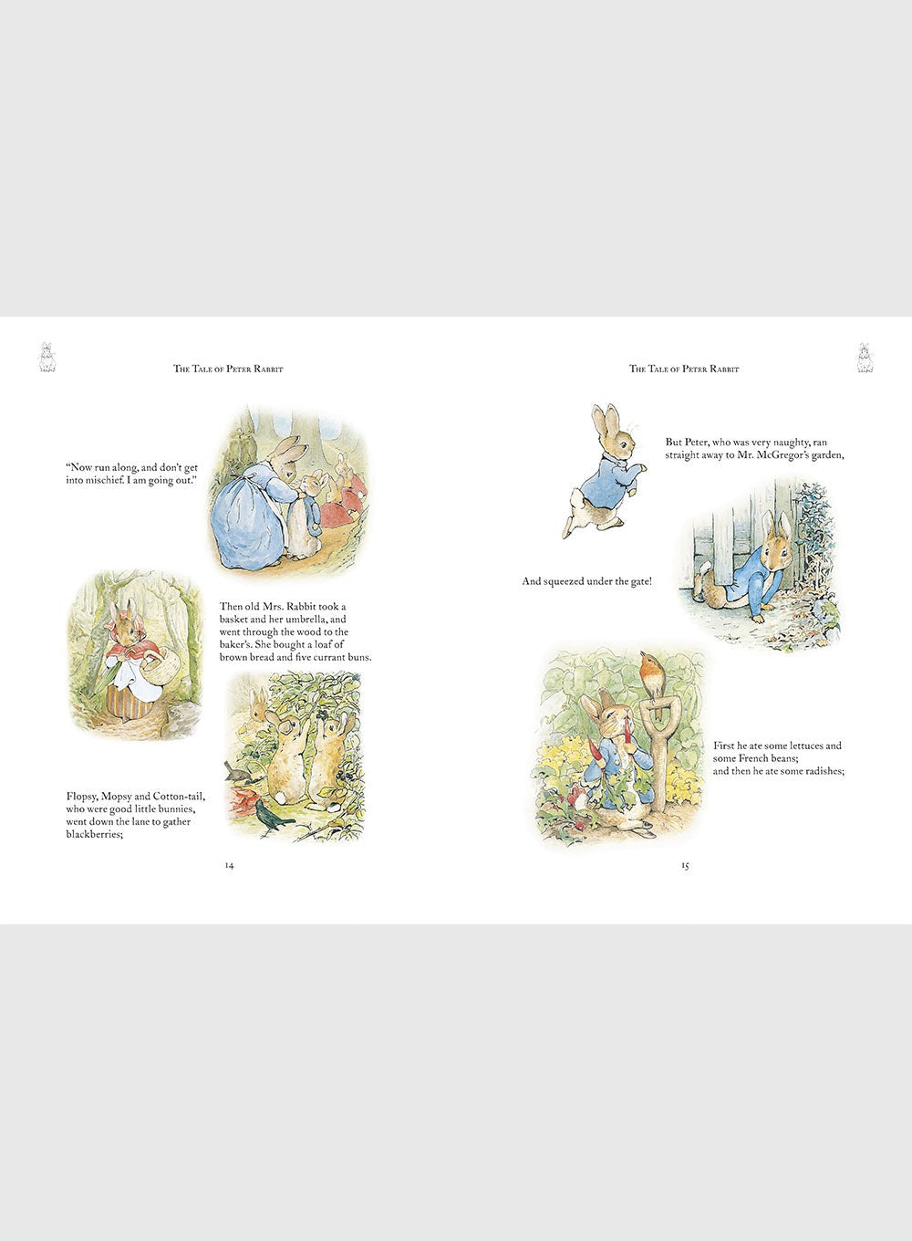 The Complete Adventures of Peter Rabbit | Trotters London