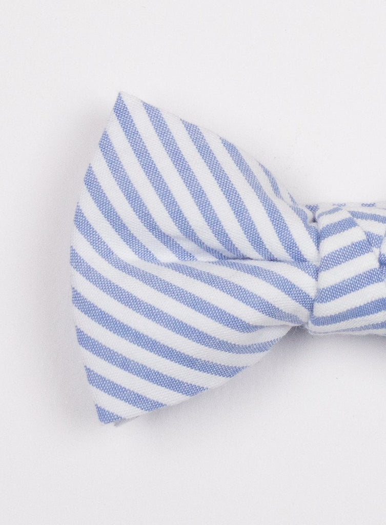 Buy Bow Tie in Blue Stripe | Trotters Childrenswear