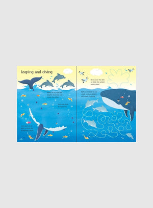 Usborne Book Wipe-Clean Under the Sea Activities Book